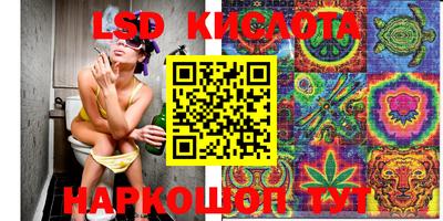 ECSTASY Донской