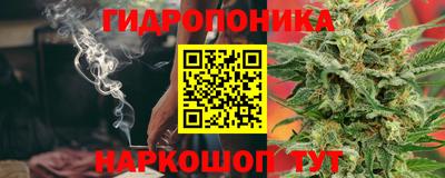 ECSTASY Донской