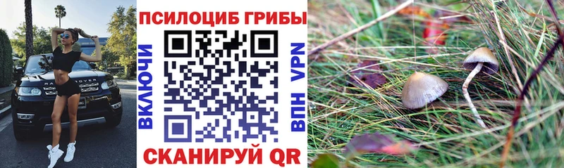Галлюциногенные грибы мухоморы  это клад  Лосино-Петровский 