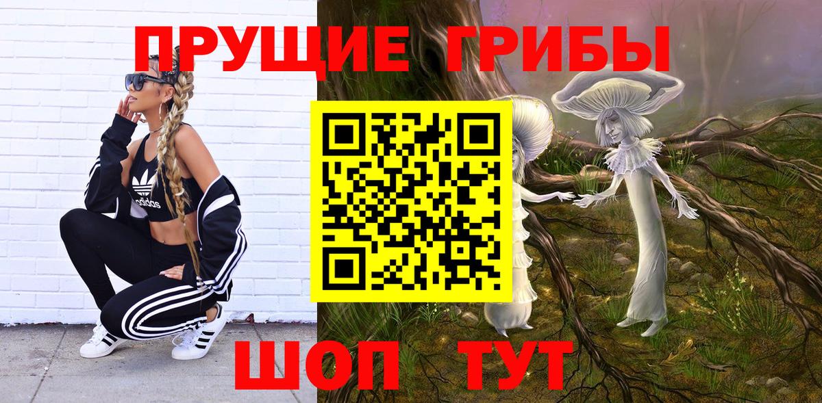 Лосино-Петровский  Псилоцибиновые грибы Cubensis  Галлюциногенные грибы прущие грибы  Вход с VPN 